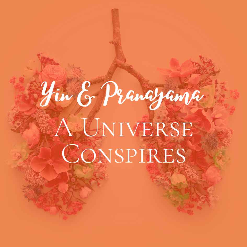 Yin & Pranayama: A Universe Conspires
