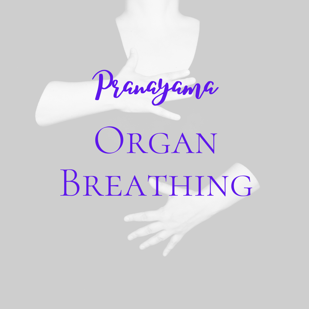 Organ Breathing