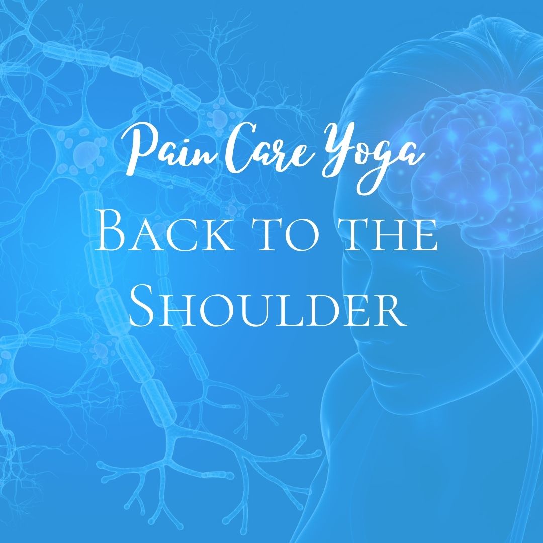Back to the Shoulder