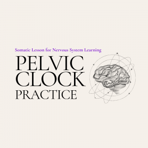 Pelvic Clock Practice
